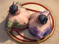 Sumo Wrestling Battle image